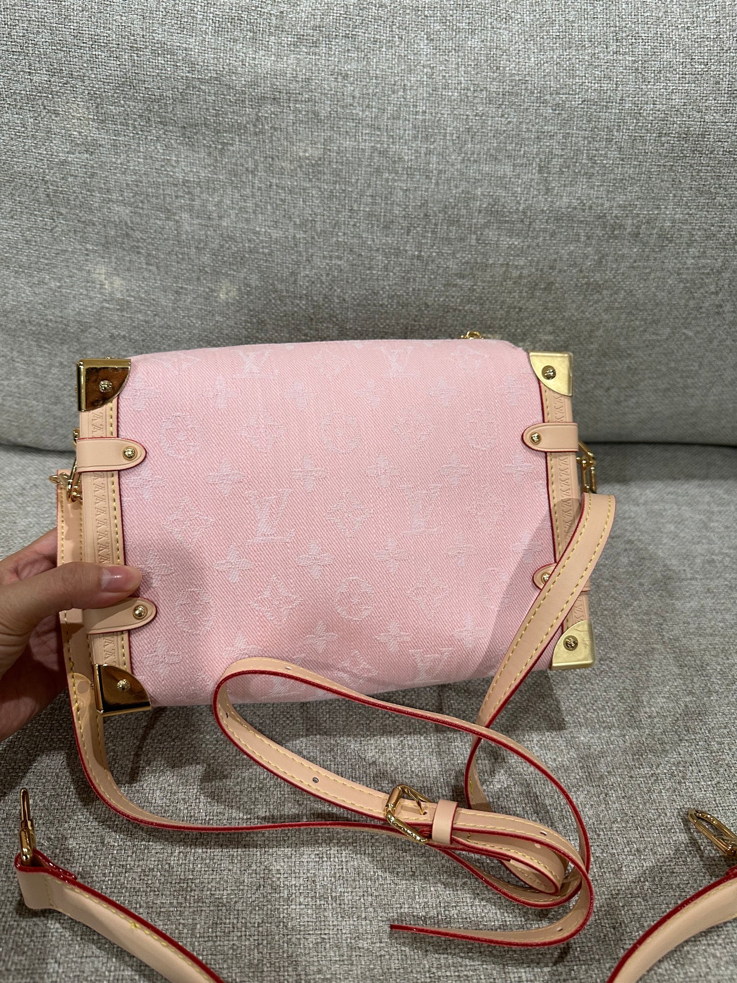 LV pink trunk case