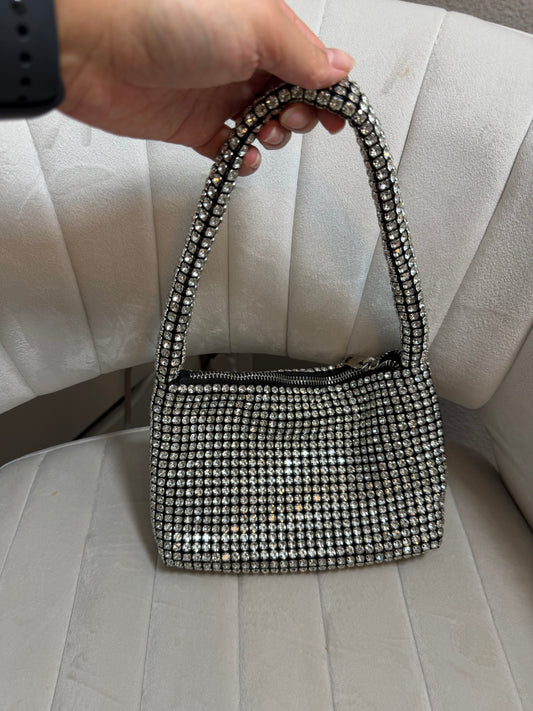 Alexander Wang sparkly bag