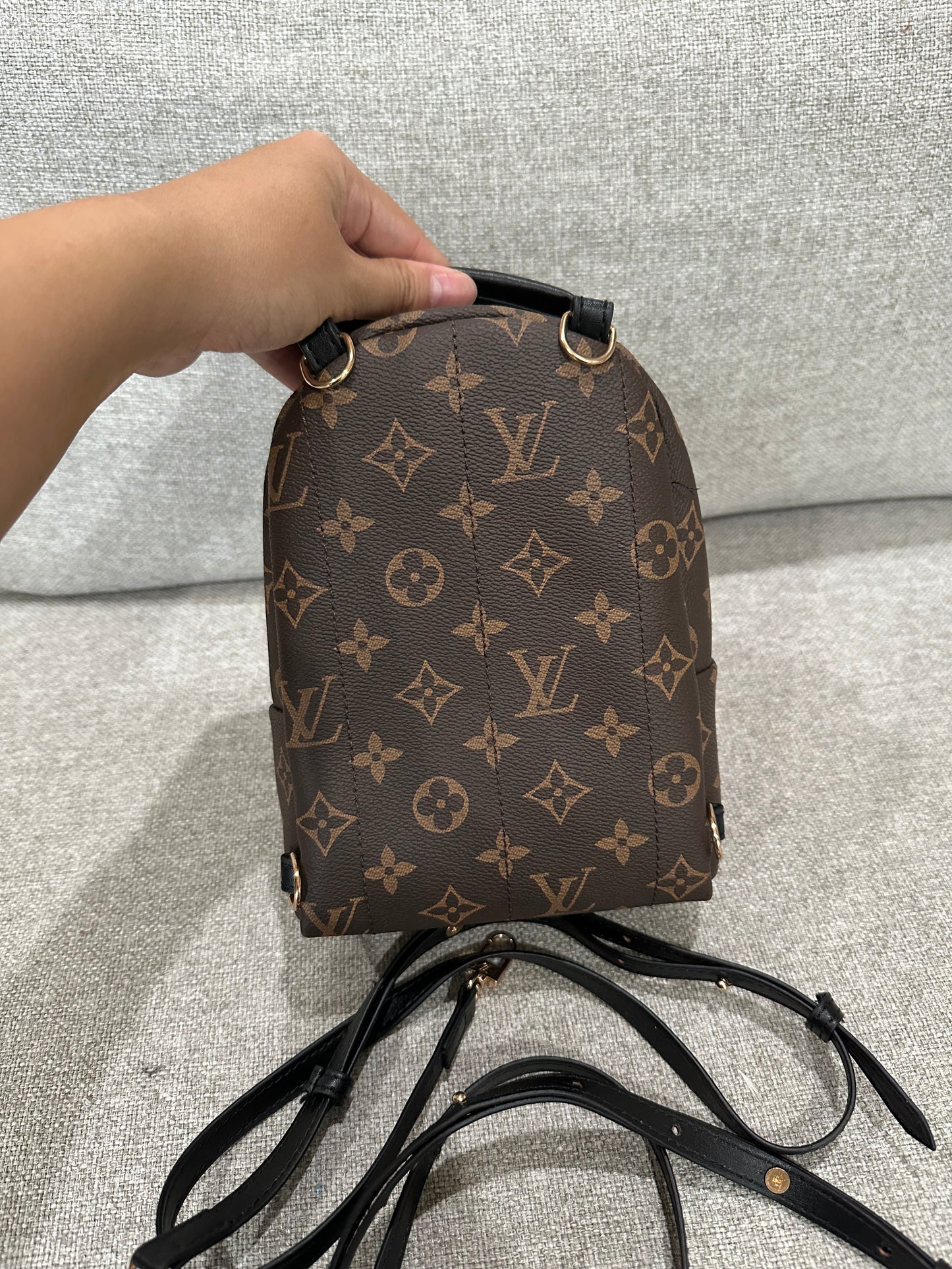 LV mini backpack