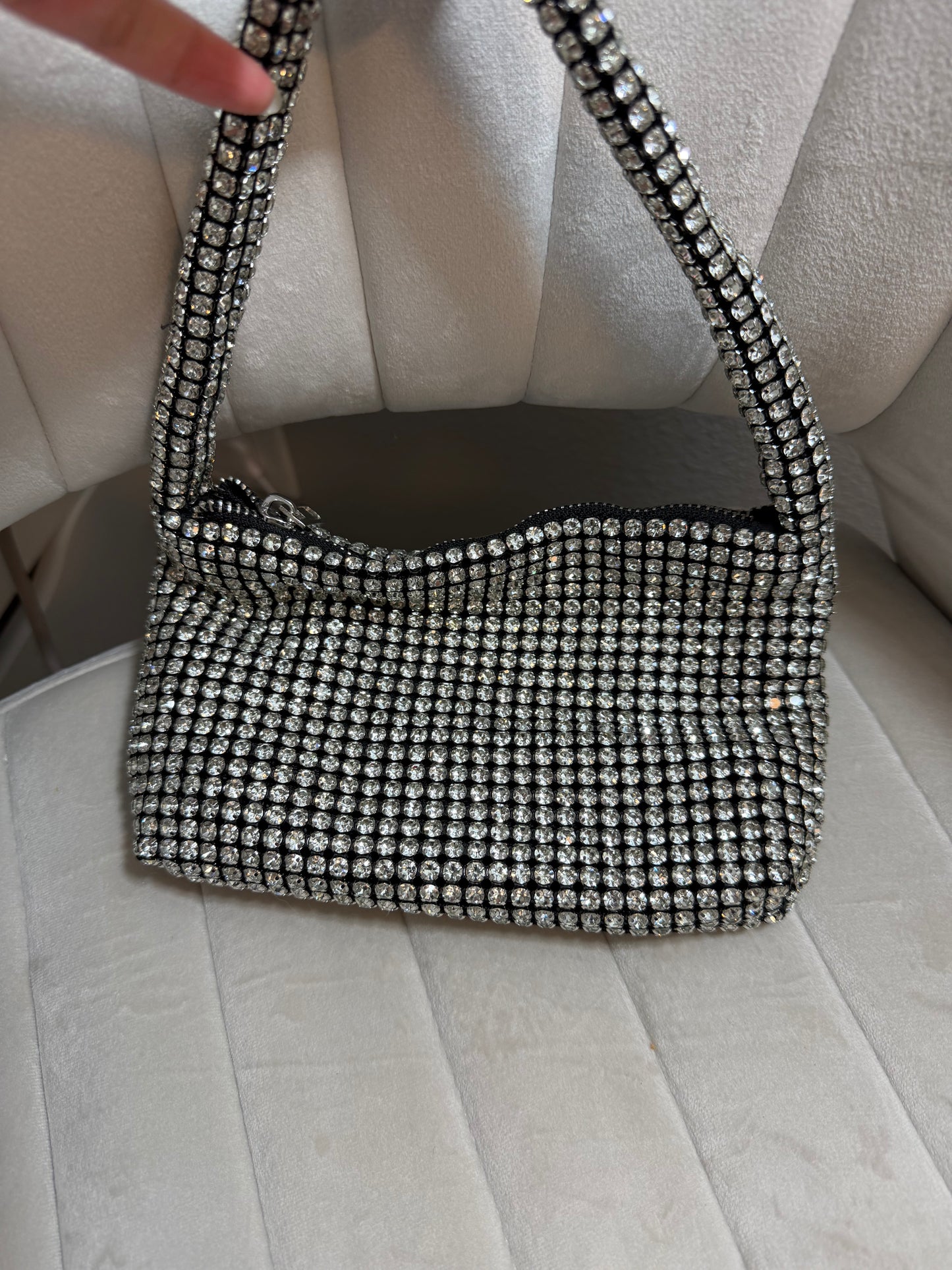 Alexander Wang sparkly bag